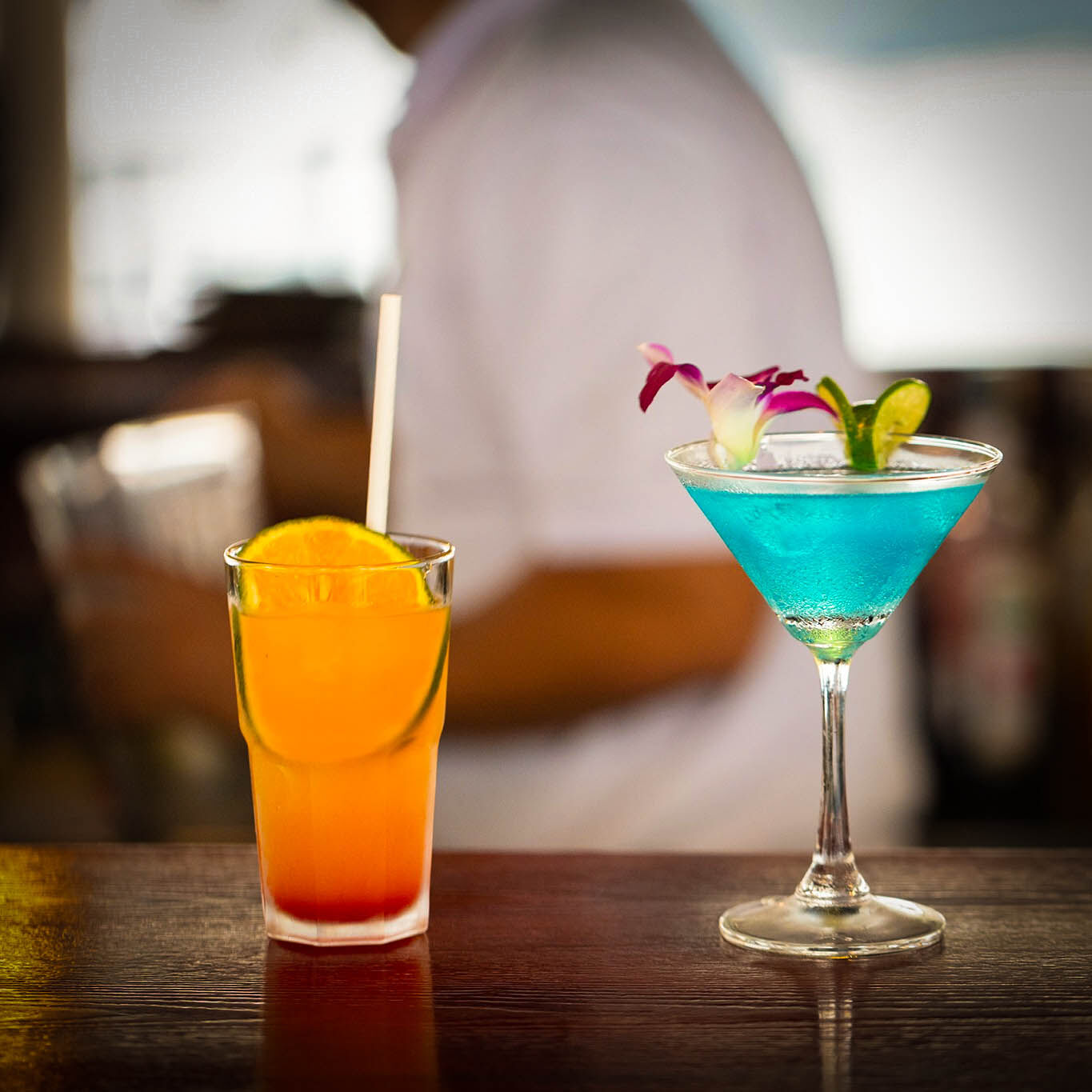 Experience elegance in Halong Bay